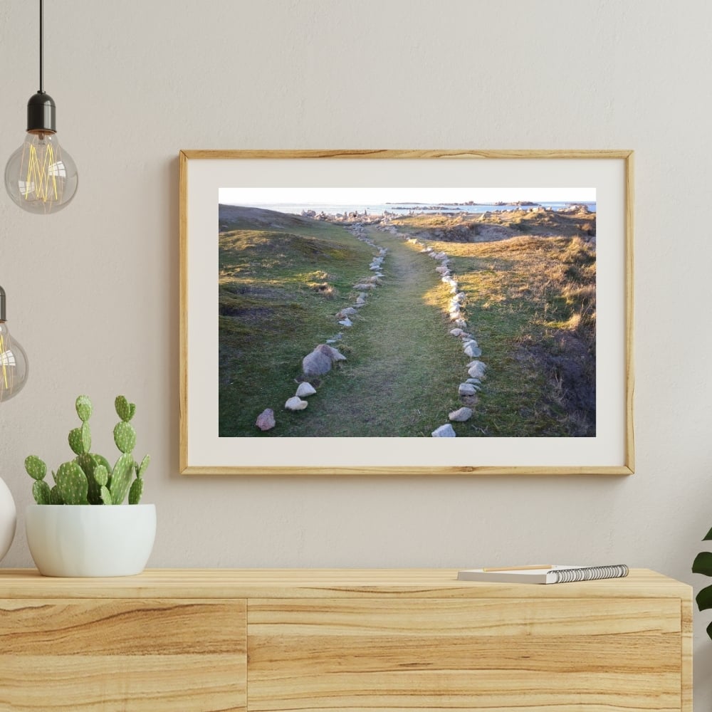 Cadre tableau image photo BRETAGNE Landrellec Chemin Landes