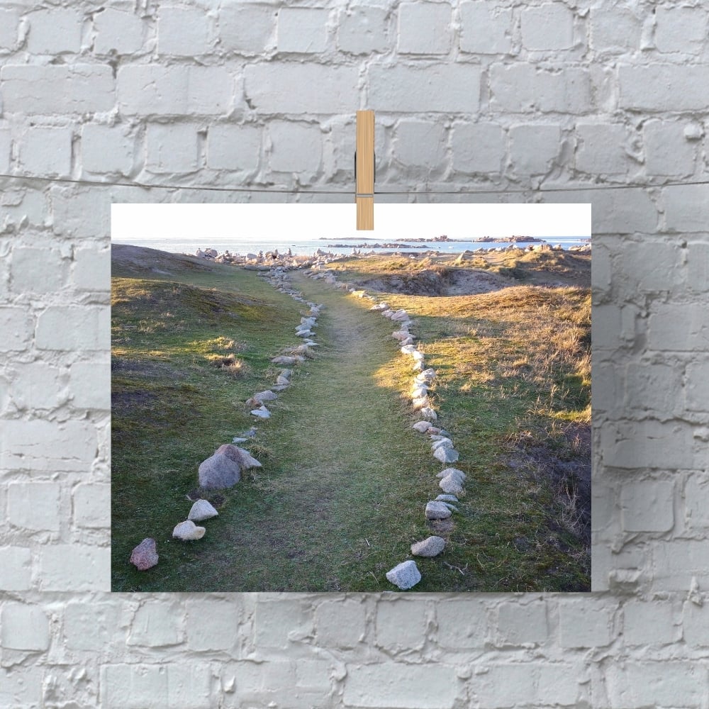 Cadre tableau image photo BRETAGNE Landrellec Chemin Landes