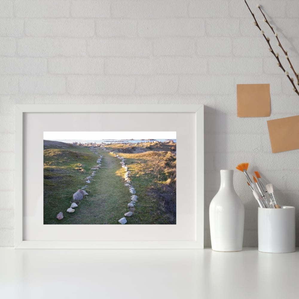 Cadre tableau image photo BRETAGNE Landrellec Chemin Landes