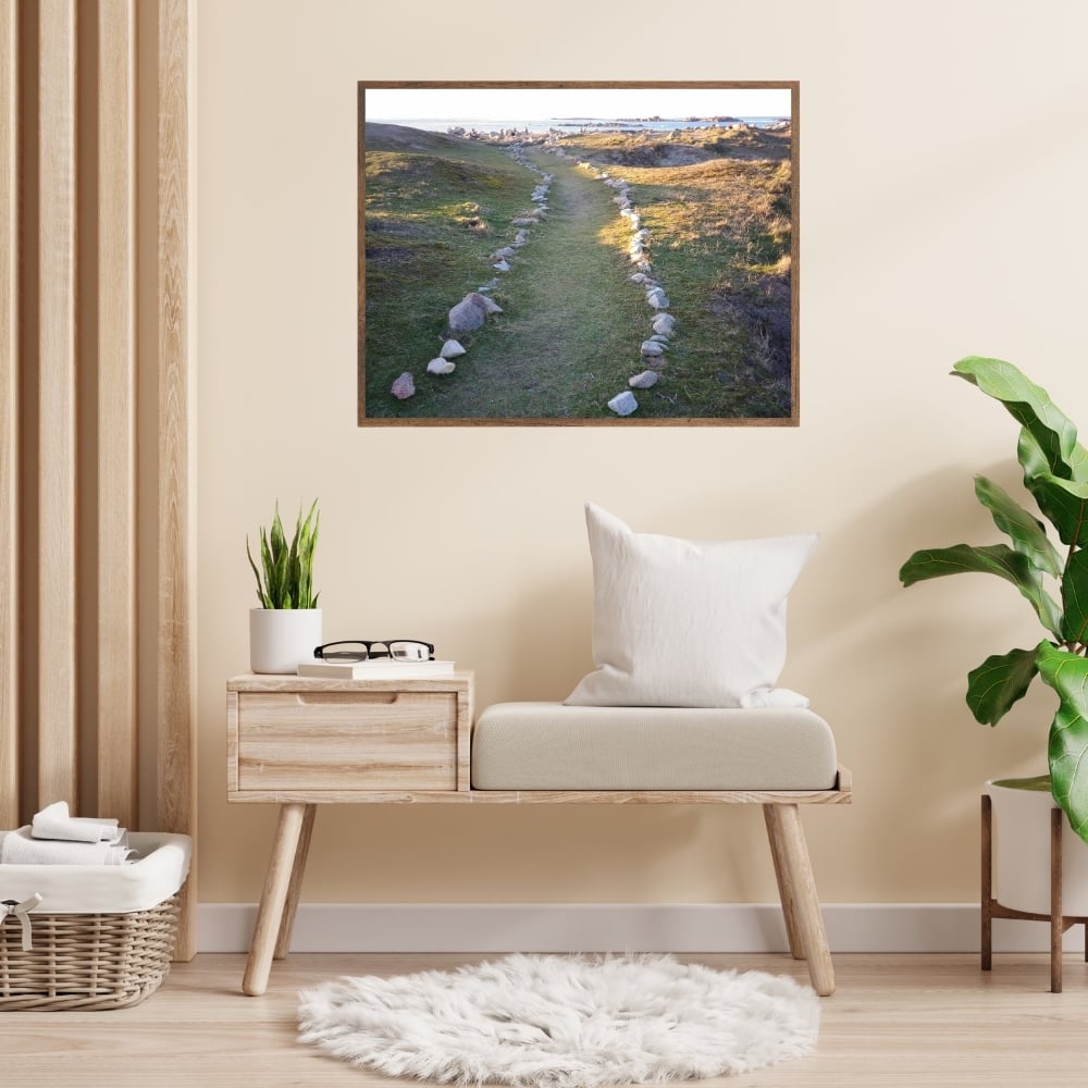 Cadre tableau image photo BRETAGNE Landrellec Chemin Landes