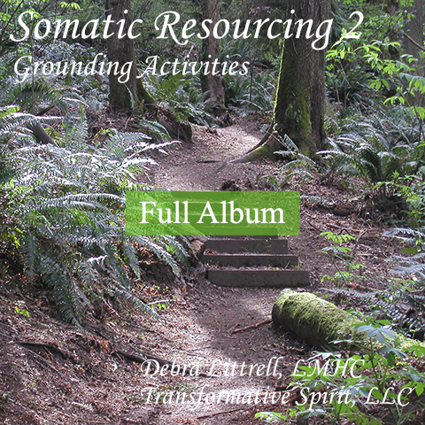 Somatic Resourcing 2: Grounding Activities - Full Album