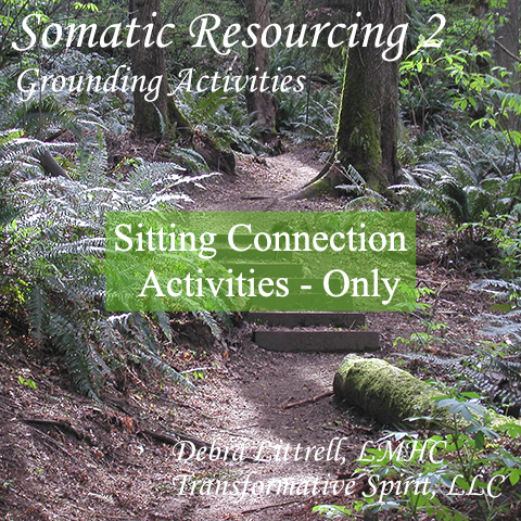 Somatic Resourcing 2: Grounding Activities - Sitting Connection Activities Only