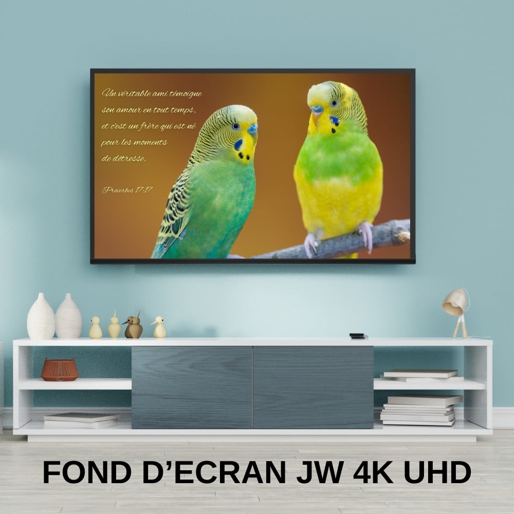 Fonds décran JW sur lAmitié - Texte biblique Proverbes 17:17