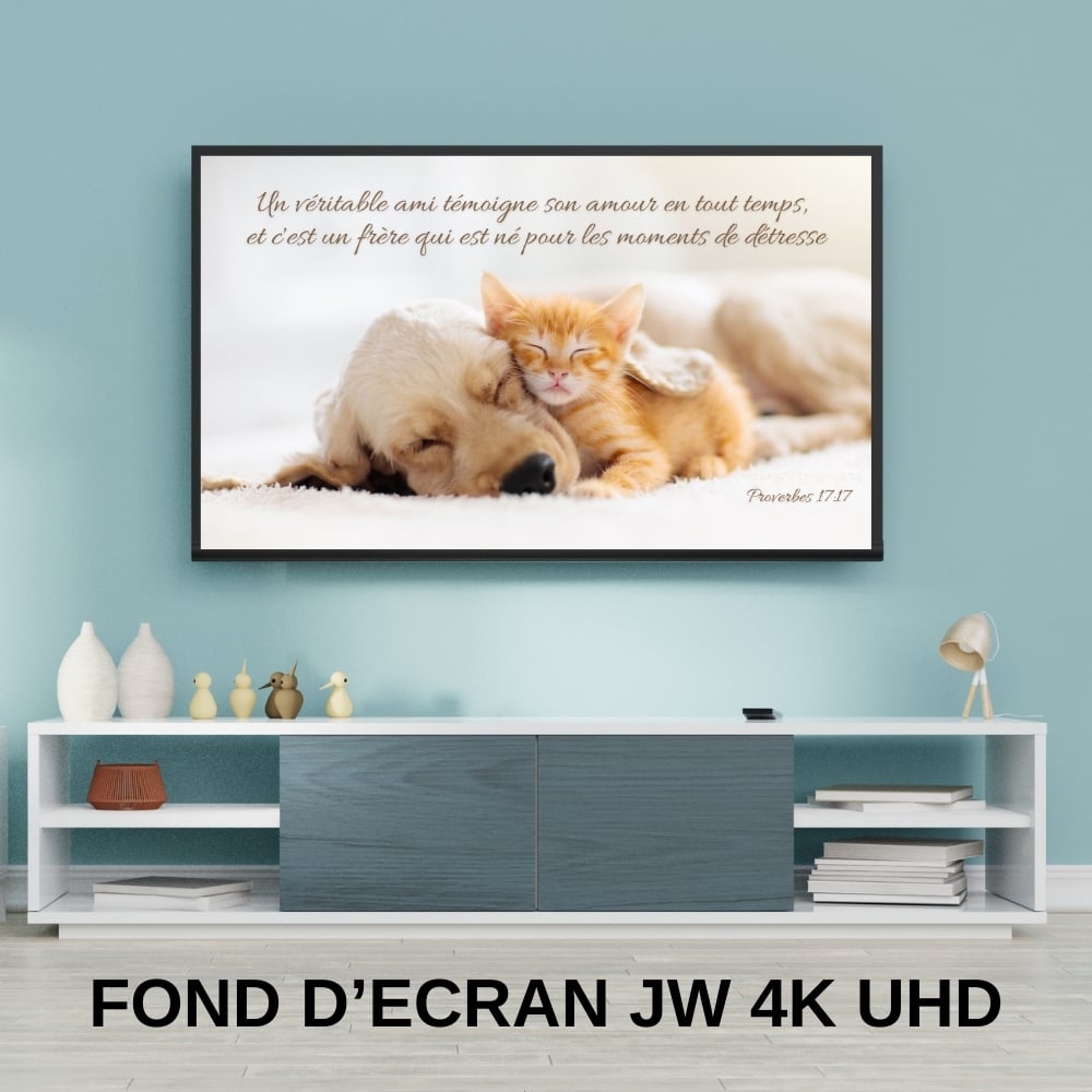 Fonds décran JW sur lAmitié - Texte biblique Proverbes 17:17