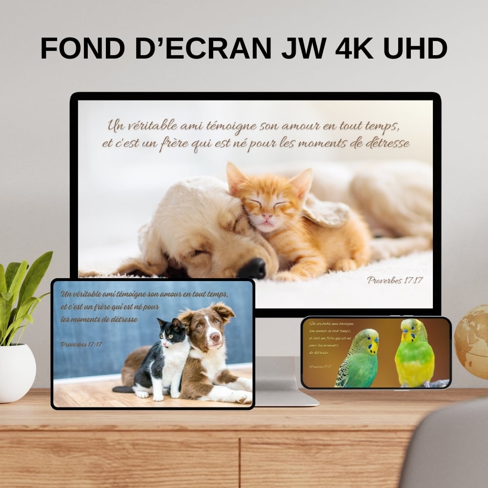 Fonds décran JW sur lAmitié - Texte biblique Proverbes 17:17