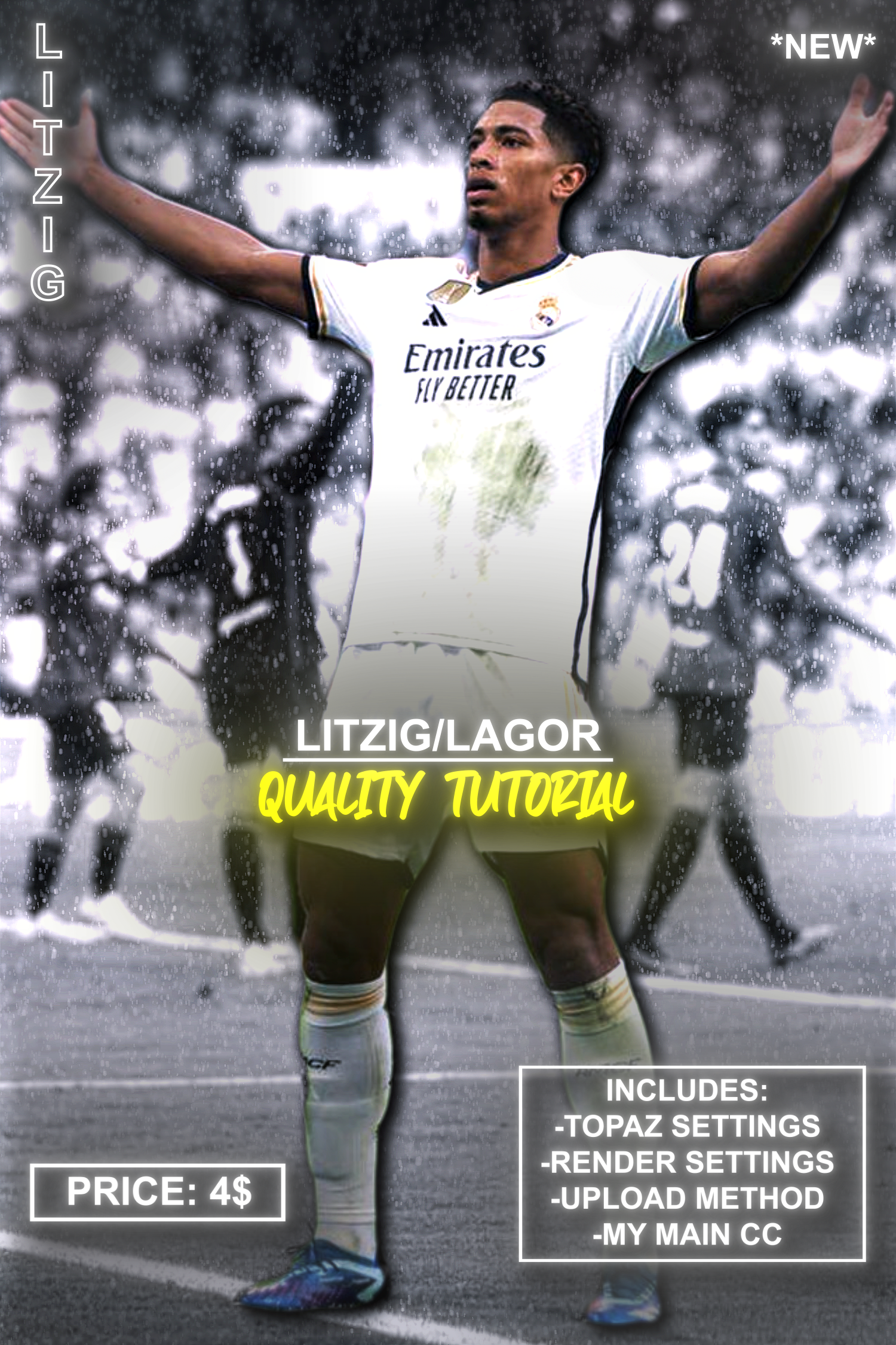 Litzig/Lagor Quality Tutorial - Payhip