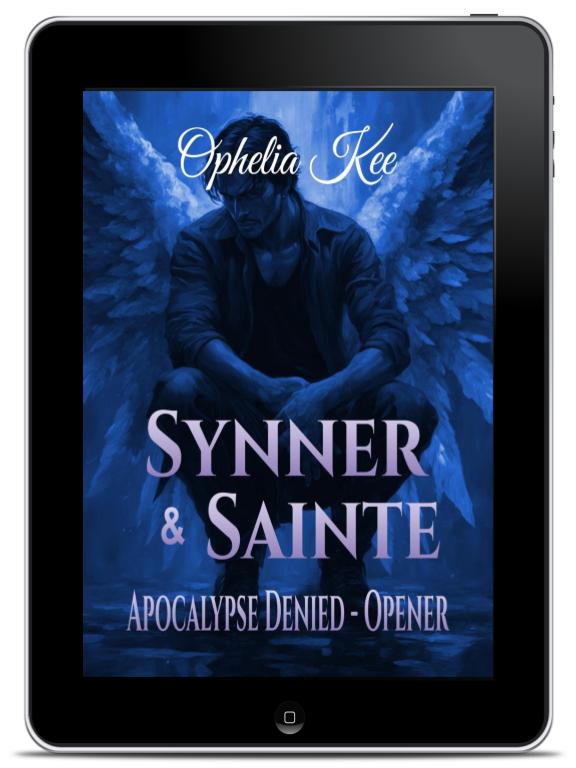 Synner & Sainte Ebook