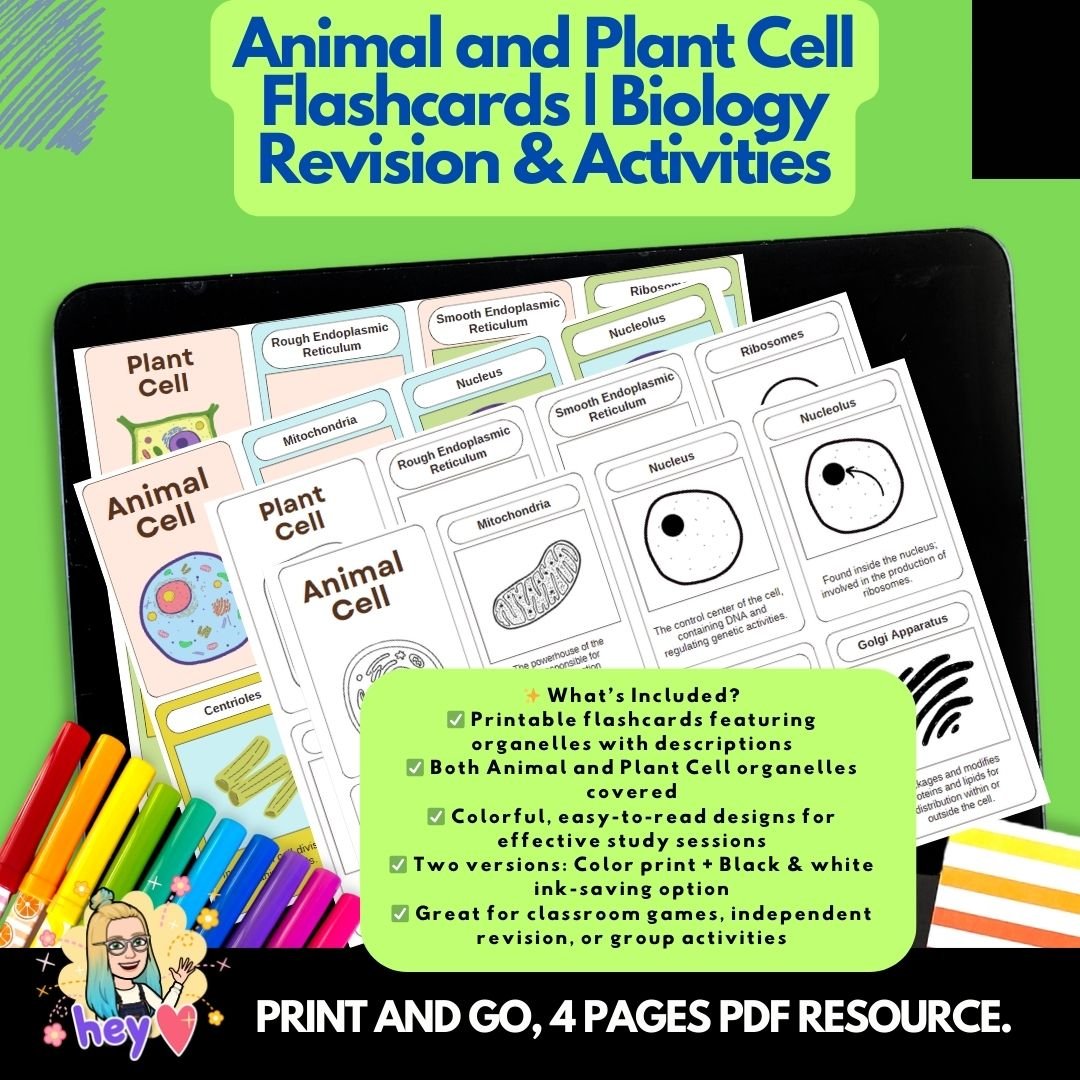 Photosynthesis Flashcards