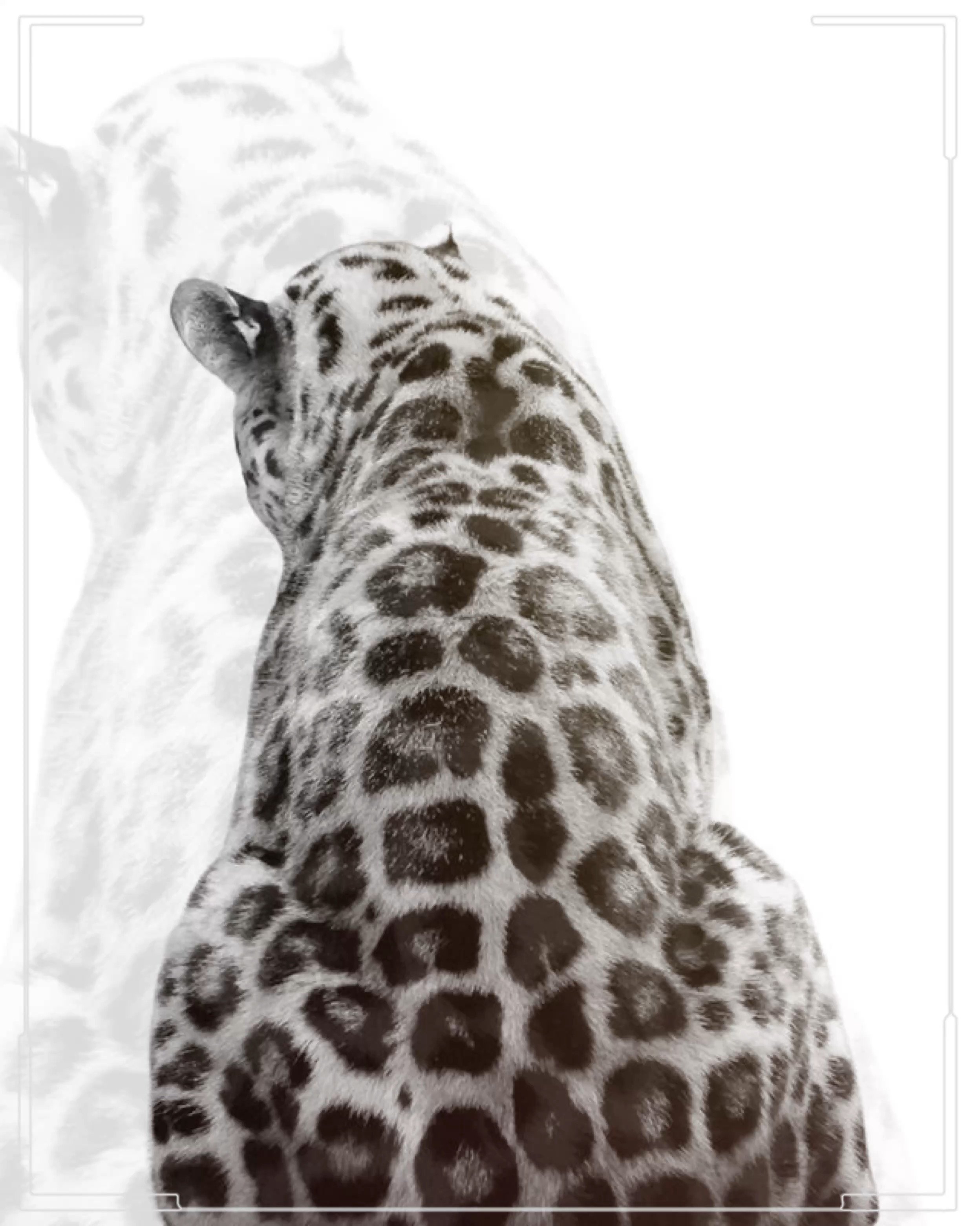 Tez X Chrxs Intro Qr Codes ! - Payhip