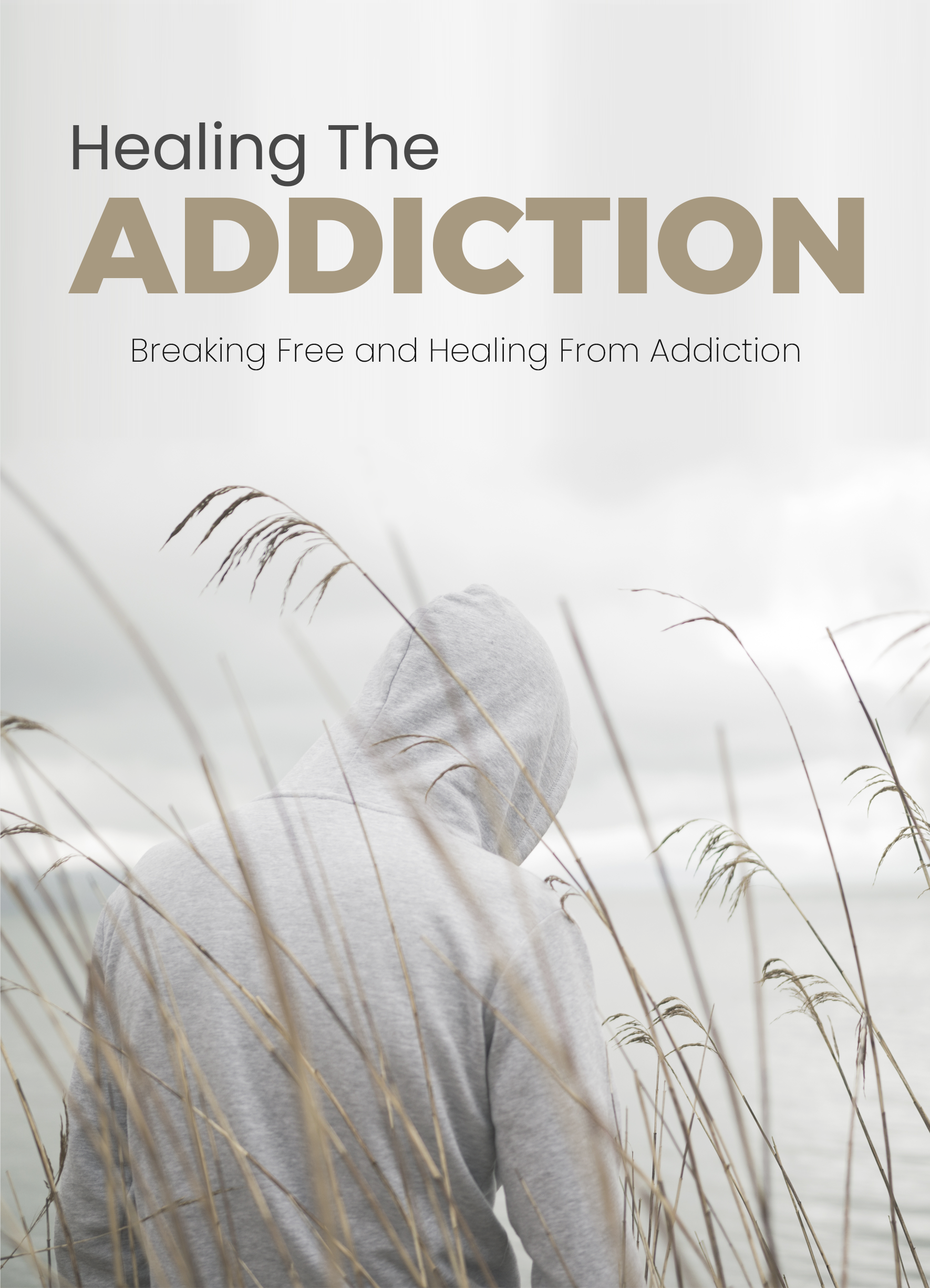 Healing The Addiction Breaking Free and Healing from Addiction - Payhip