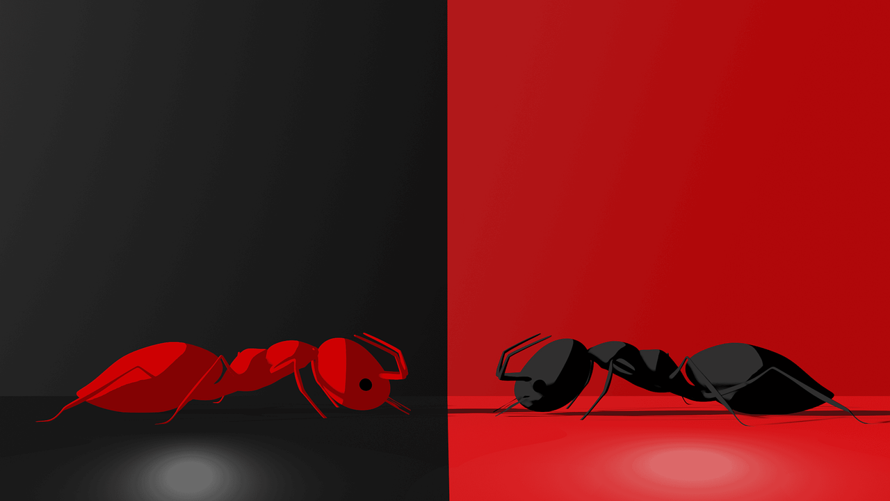 2D animations