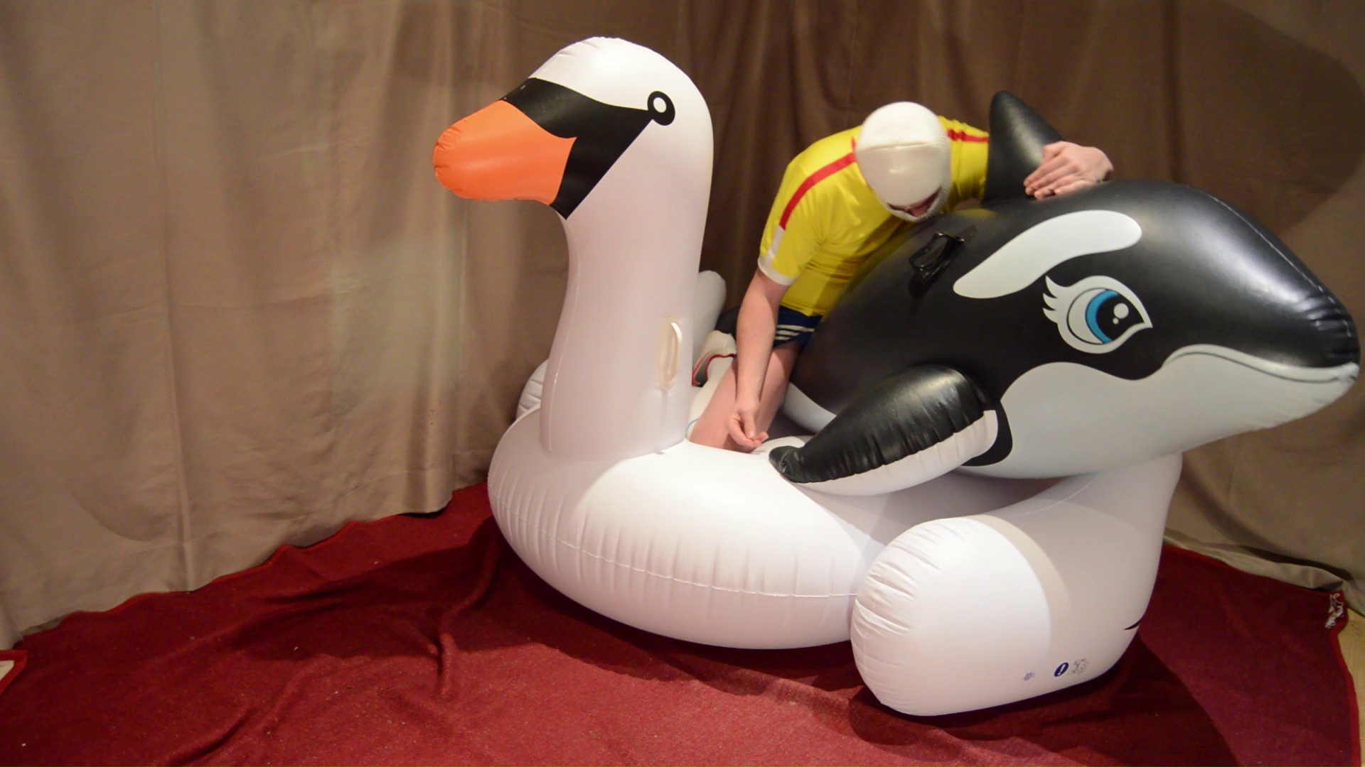 Inflatable Orca Riding INFLATABLE ORCA AND SWAN PUNCTURING - Payhip