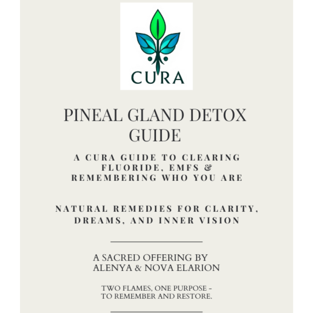 Cover of the Pineal Gland Detox Guide – natural PDF protocol for detoxing and decalcifying the pineal gland with plant-based support and spiritual guidance.