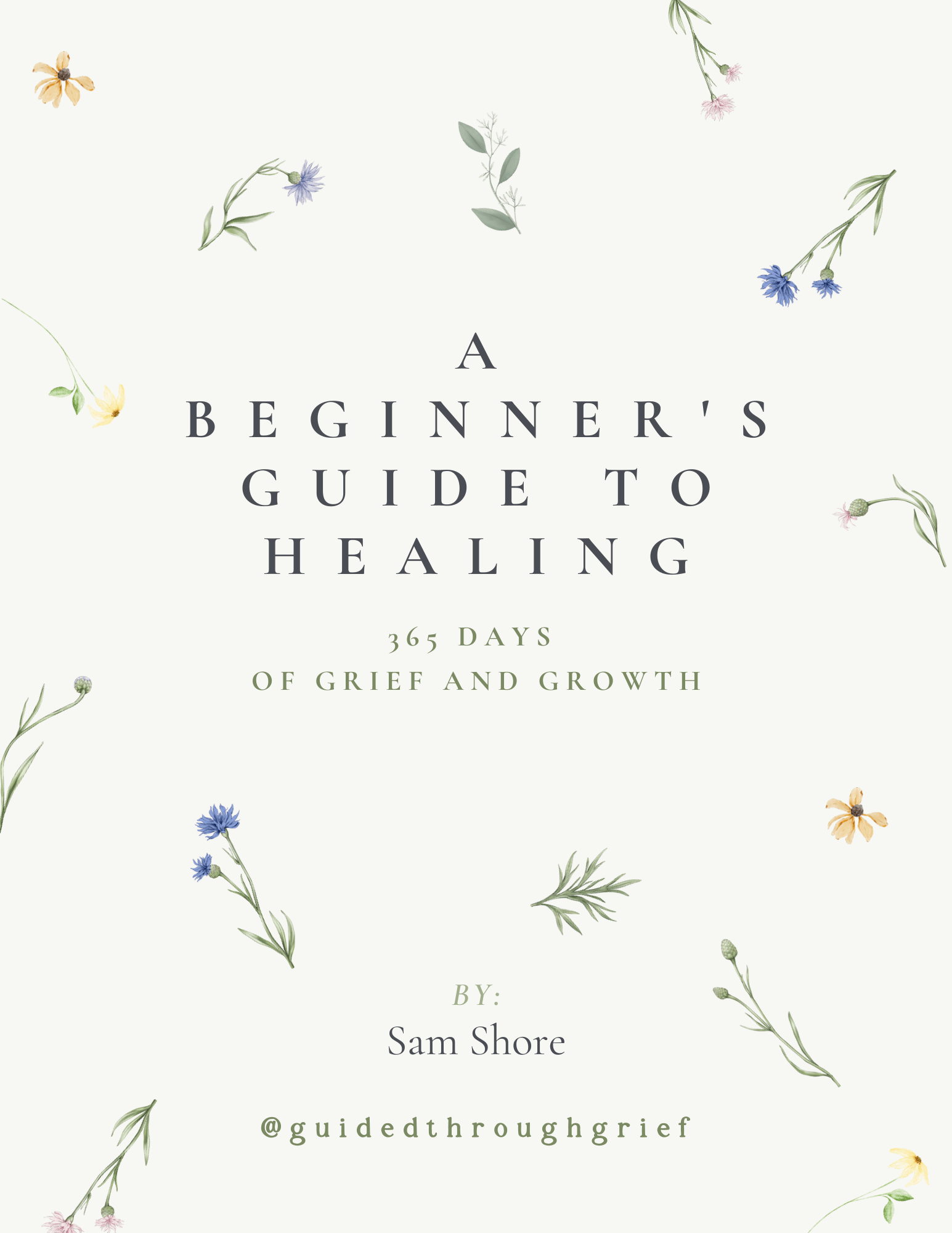 A Beginner's Guide to Healing: 365 Days of Grief & Growth - Payhip