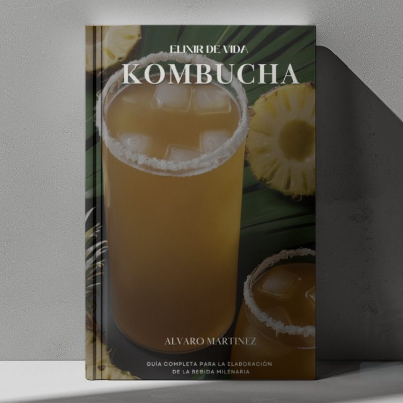 Imagen mockup Kombucha