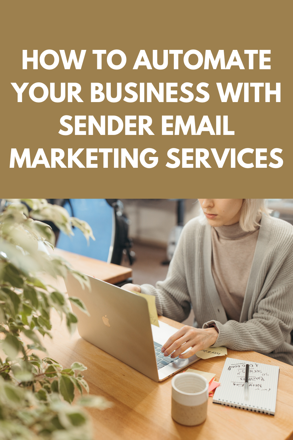 How To Automate Your Business With Sender Email Marketing Services