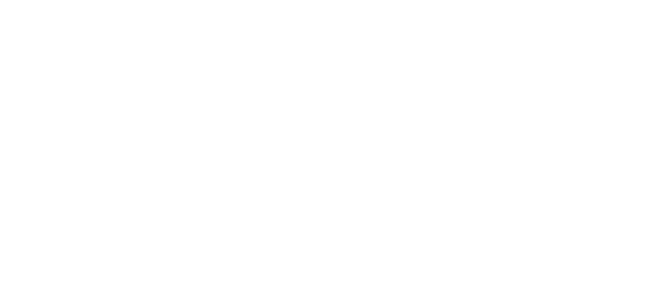 doingly-logo-rev