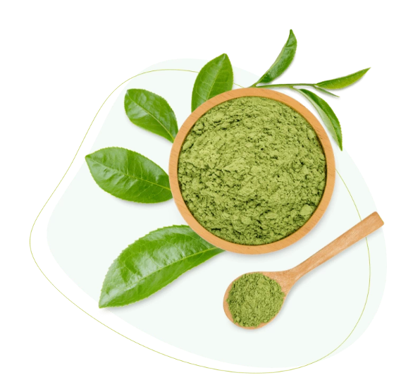 Matcha Tea Leaves