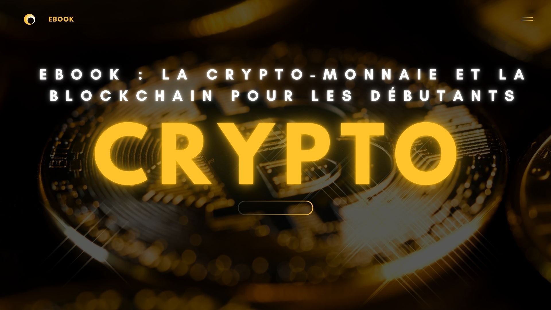 Ebook : La Crypto-monnaie et la Blockchain pour les Débutants - Payhip