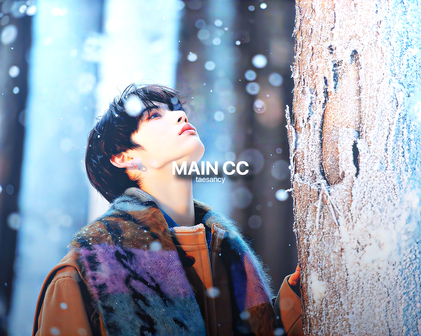Main CC - Payhip