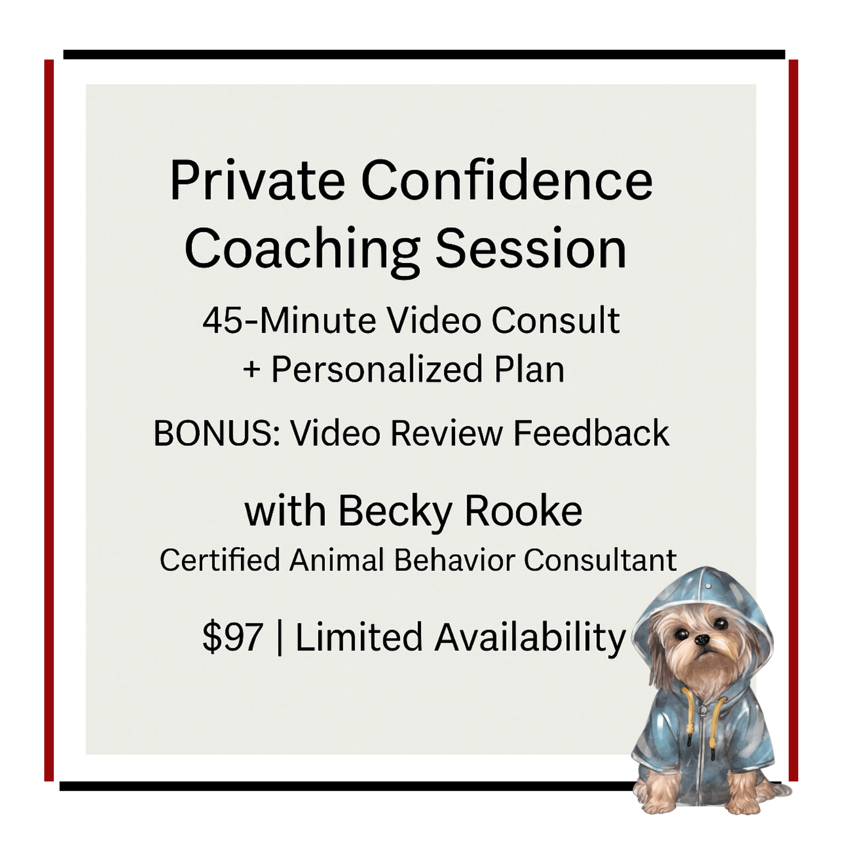 Private Confidence Coaching Session – $97 - Payhip