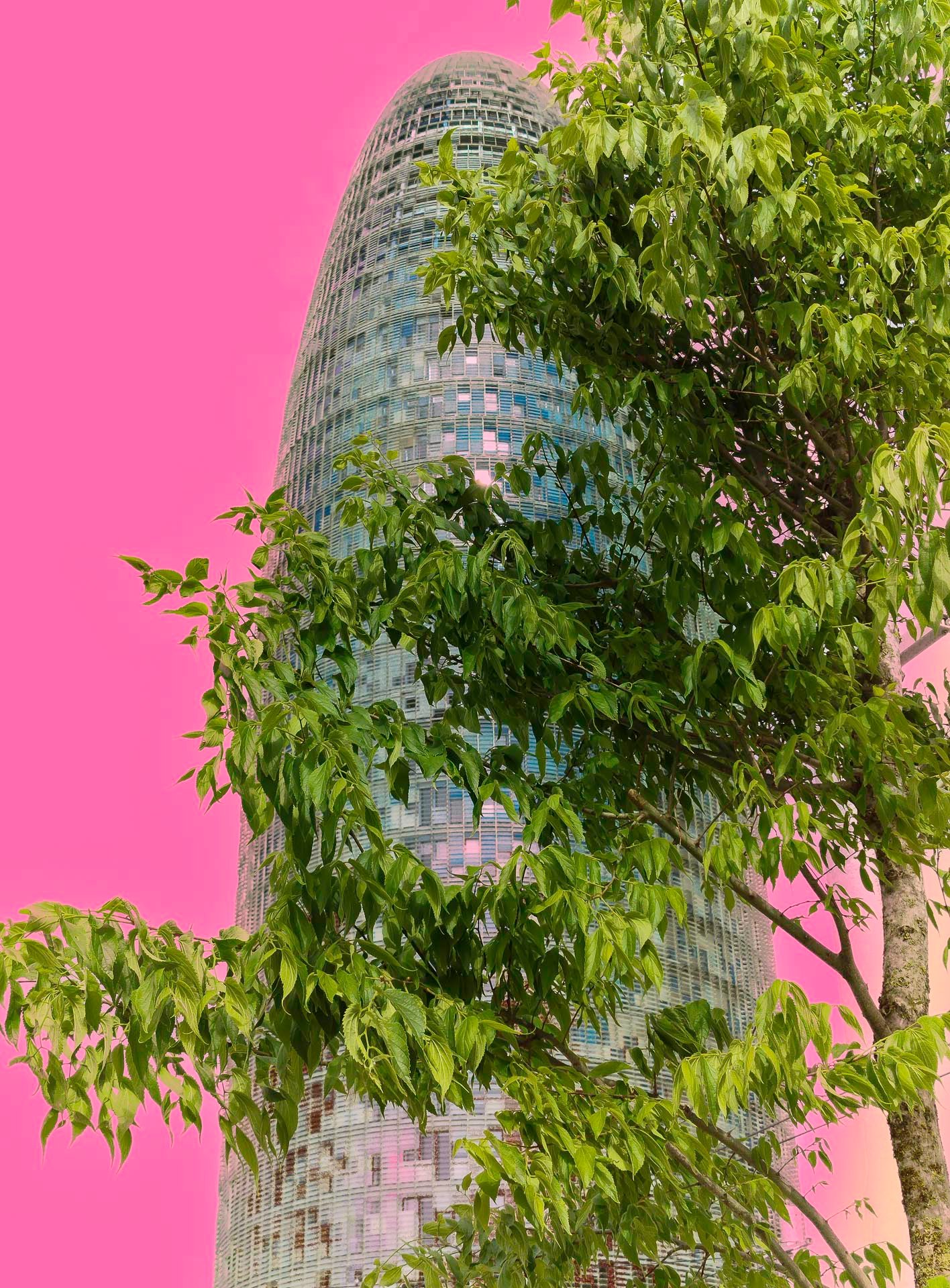 THE TREE AND THE SKYSCRAPER 20250501165924RT1PUB - Payhip