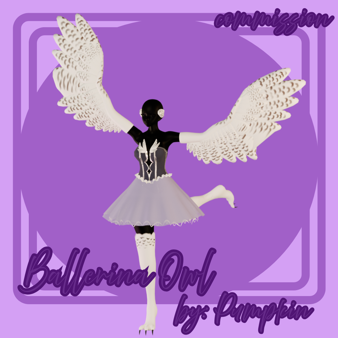 ✩˚*ೃ Ballerina Owl *ೃ˚✩