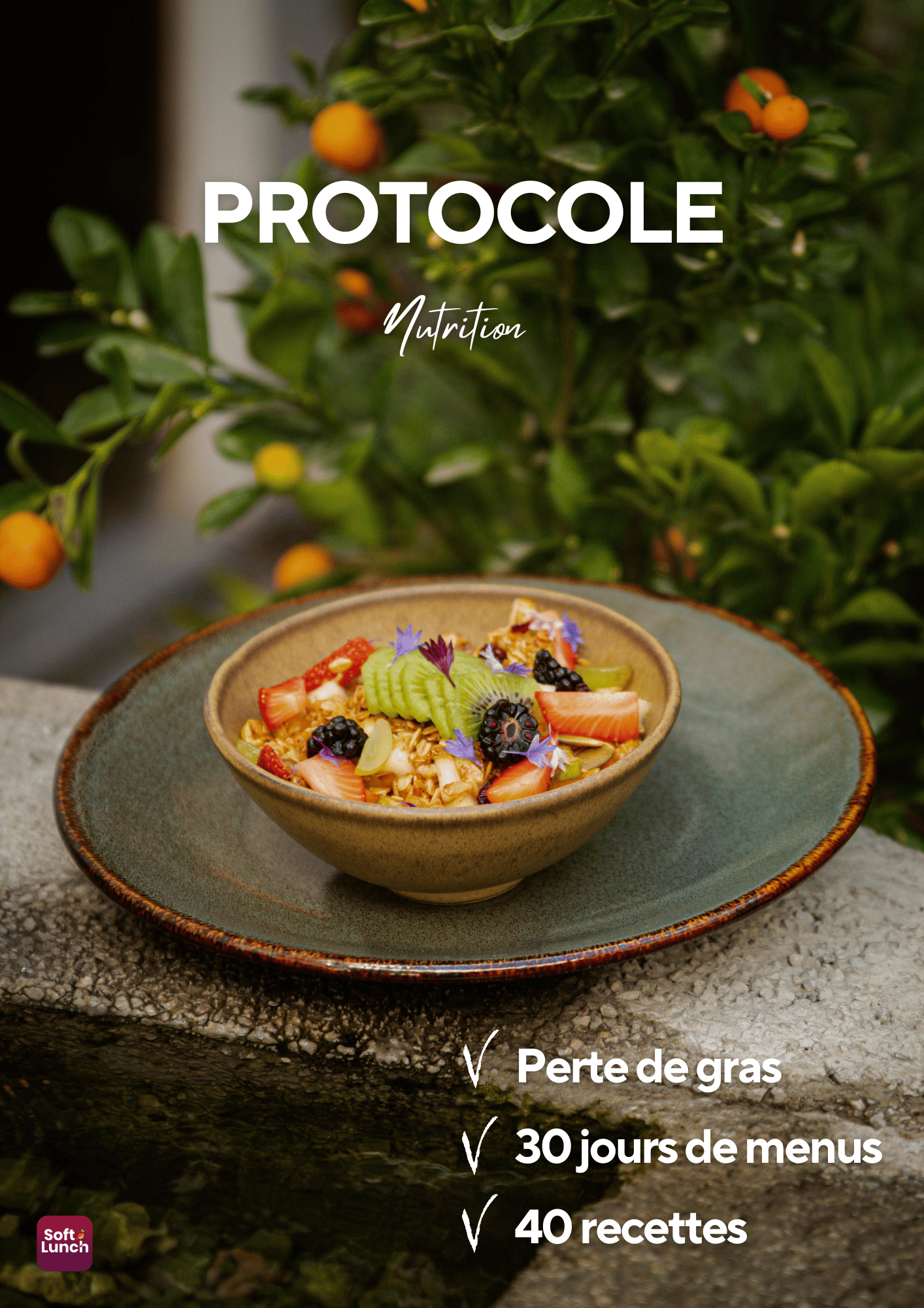 PROTOCOLE NUTRITION - Payhip