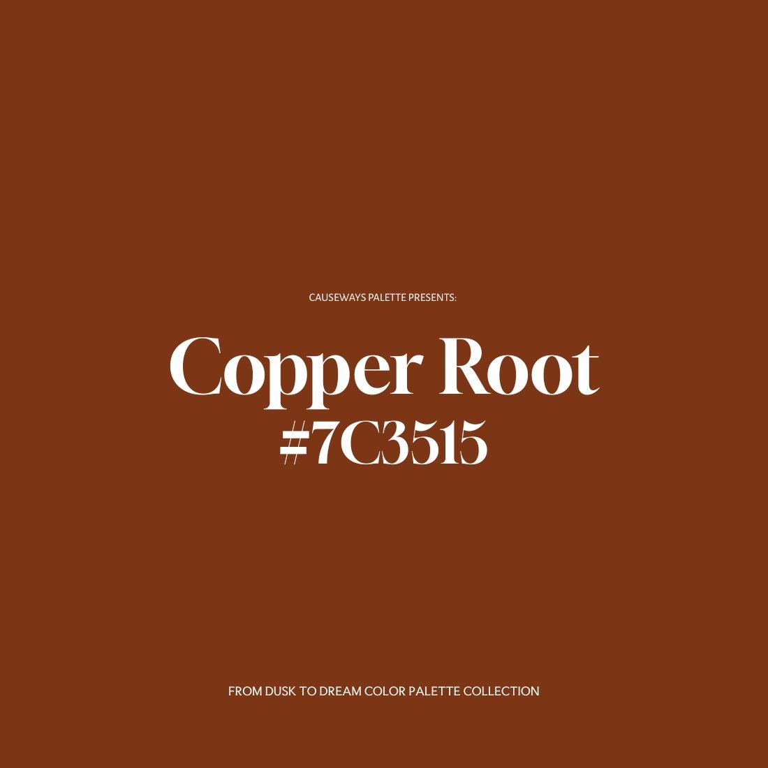 Deep terracotta brown color swatch titled "Copper Root" from the From Dusk to Dream collection by Causeways Palette.