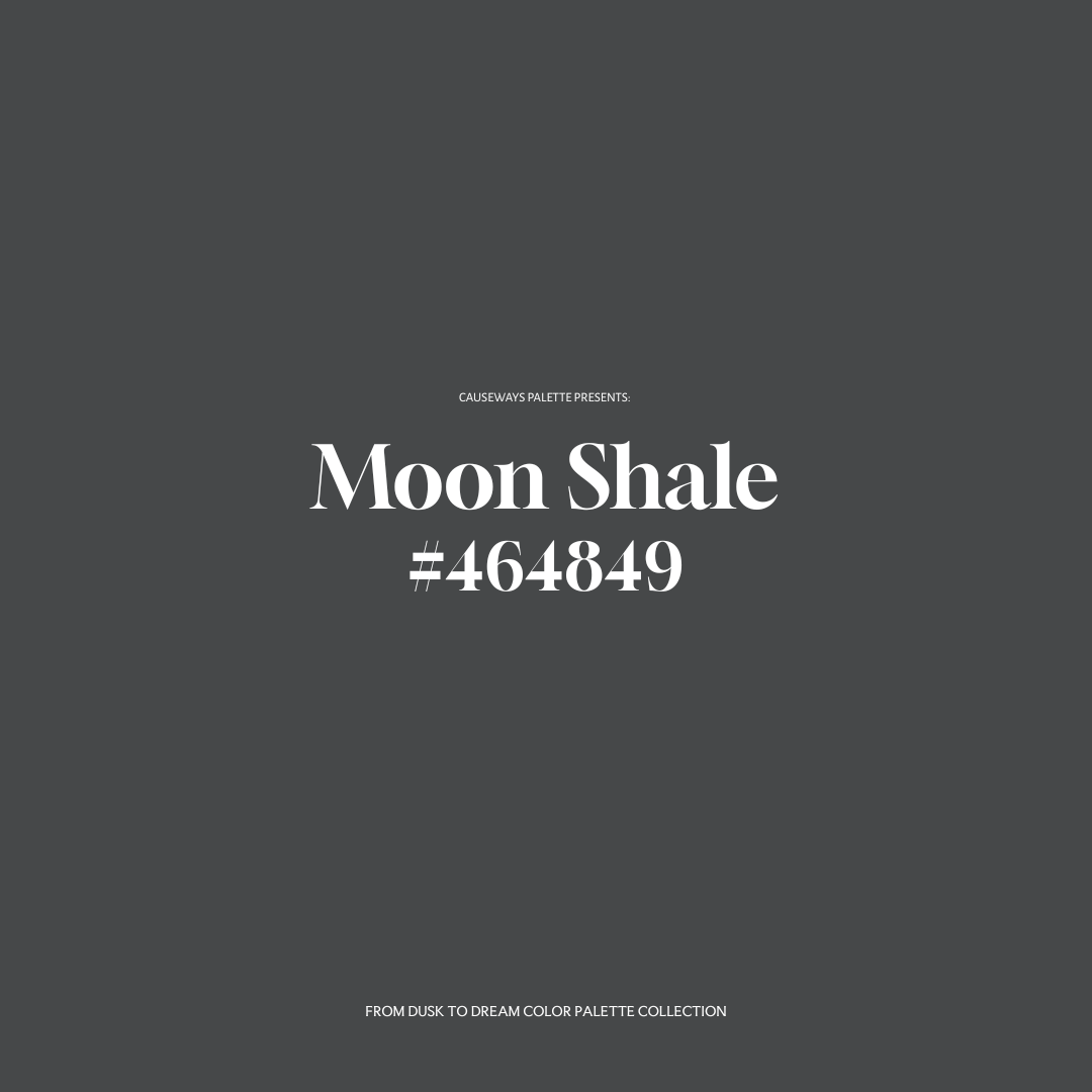 Slate gray color swatch with the name “Moon Shale” and hex code #464849 from the From Dusk to Dream collection by Causeways Palette.