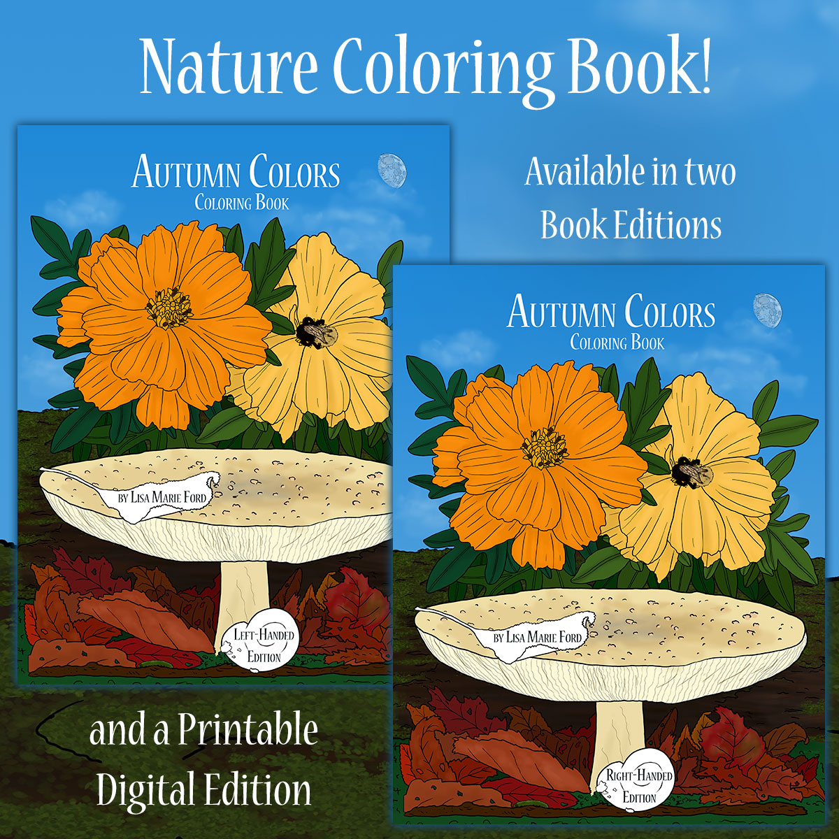 Small thumbnail preview of the covers for Autumn Colors Coloring Book Lisa Marie Ford Book Editions with a link to the info page