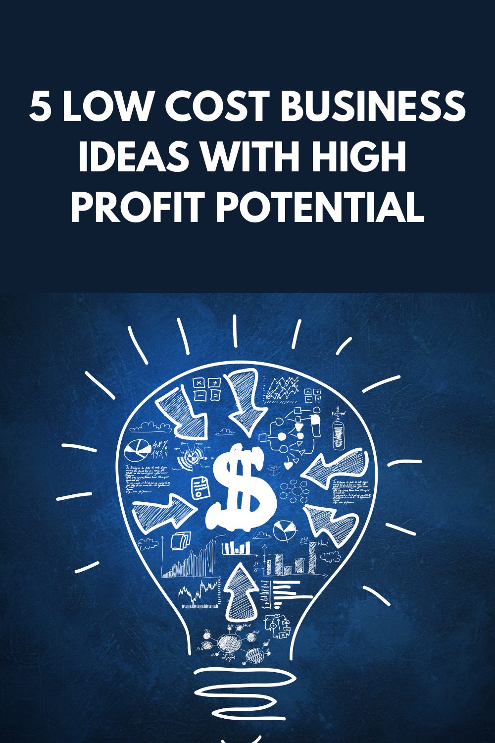 5 Low Cost Business Ideas With High Profit Potential