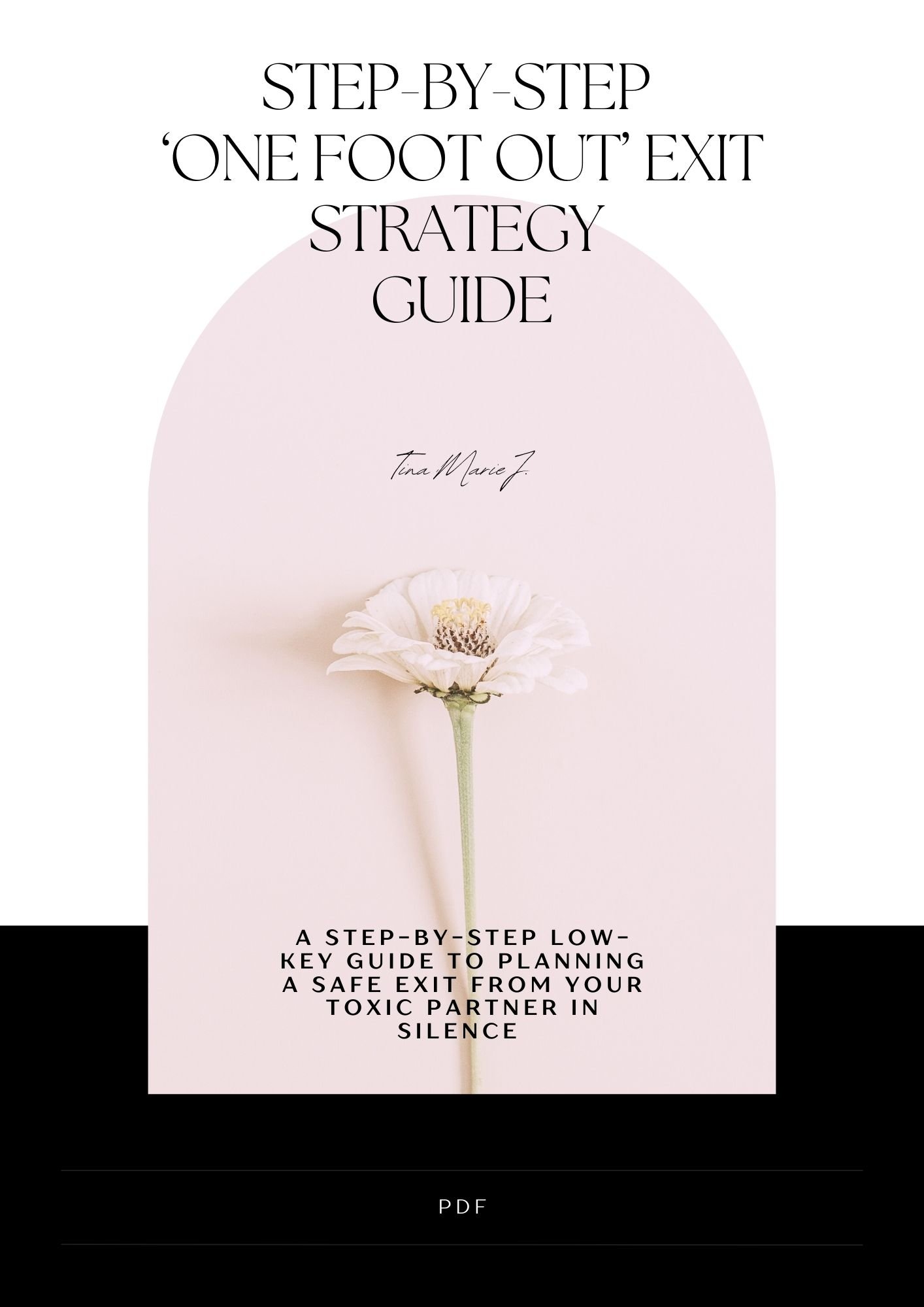 The 10-Step Exit Plan Strategy Guide PDF - Payhip