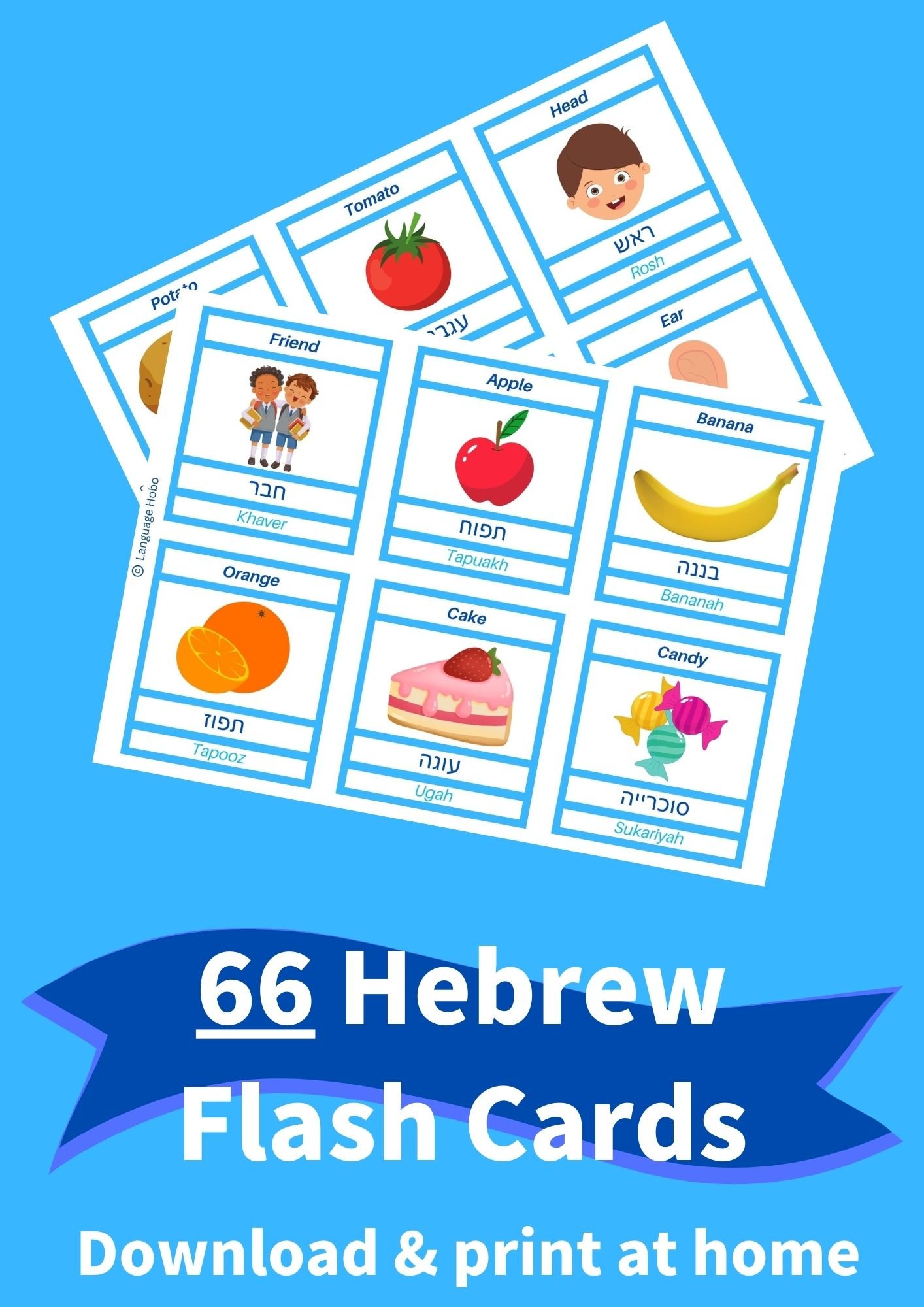 Printable HEBREW Flashcards [PDF DOWNLOAD] - Payhip