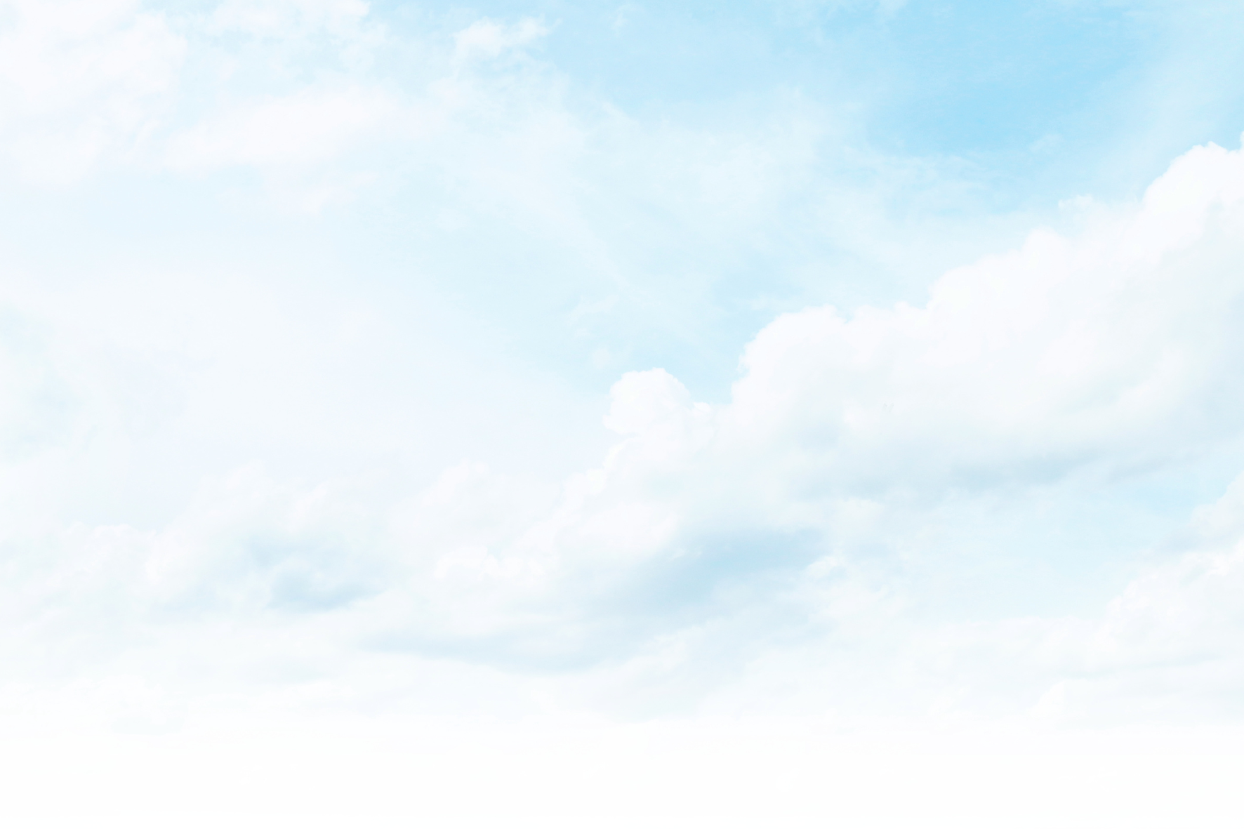 Digital Marketing Agency