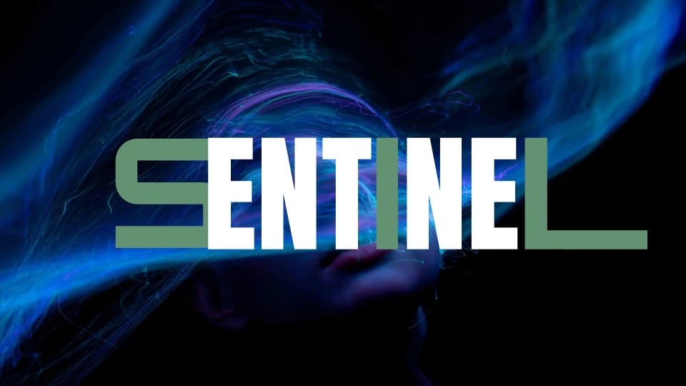 Sentinel - Payhip