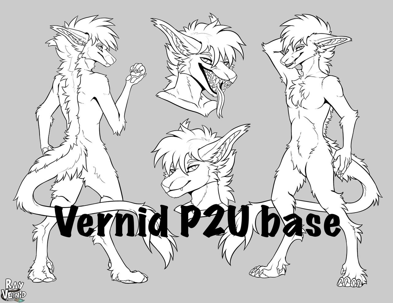 Vernid Reference Base - Payhip