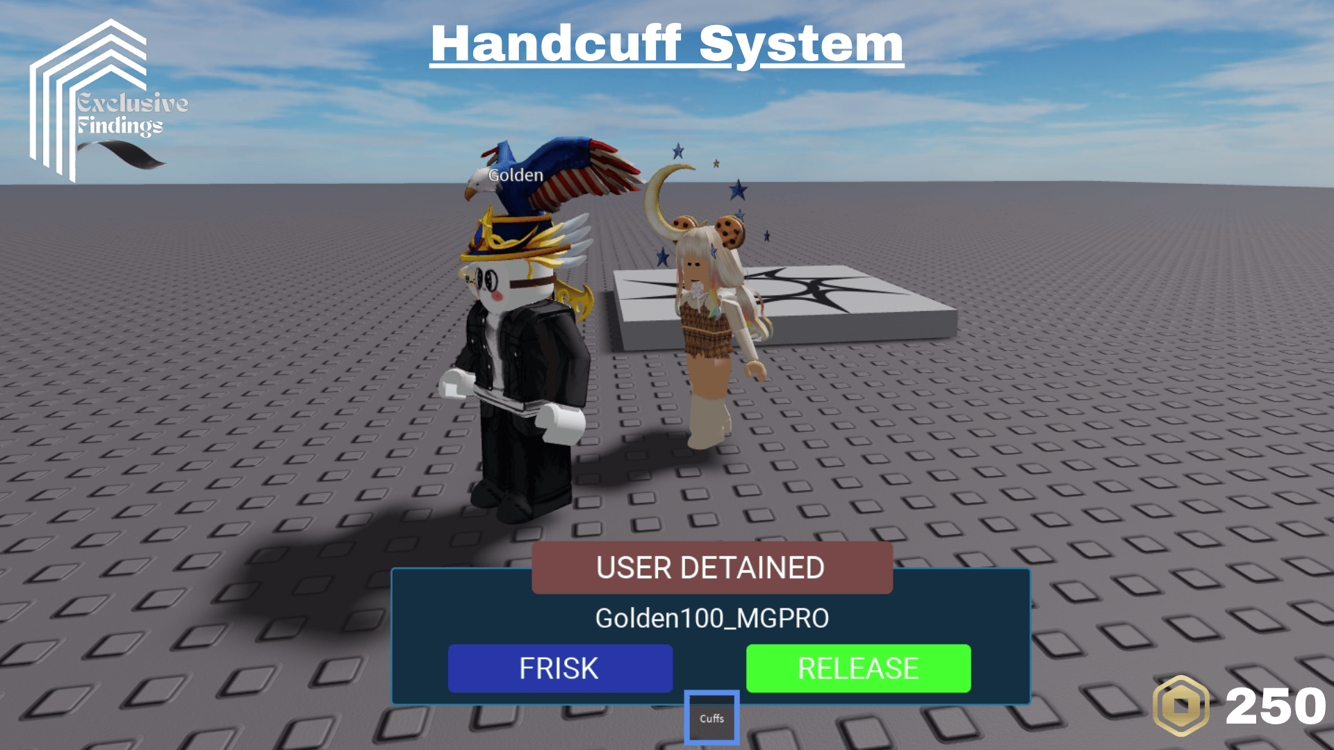 Handcuff System - Payhip