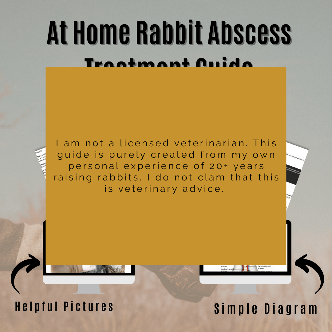 At Home Rabbit Abscess Treatment Guide - Payhip