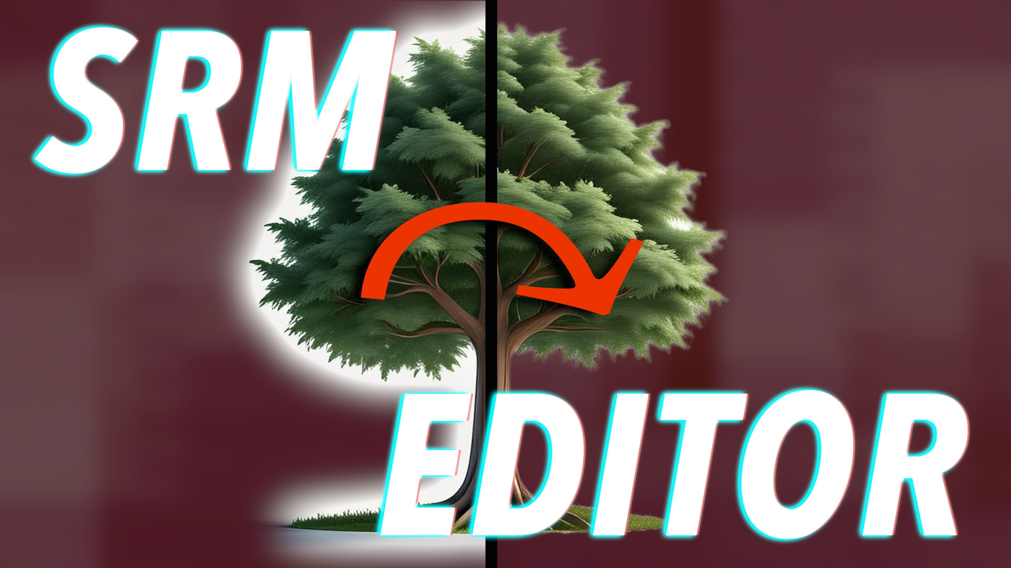 🛠️ SRM Editor v1 — für Final Cut Pro - Payhip