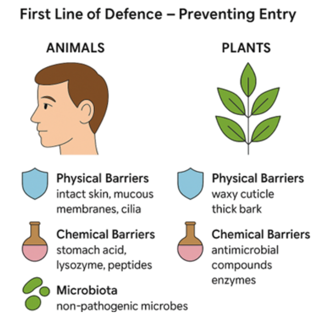 1st line of defence in animals and plants for VCE Biology