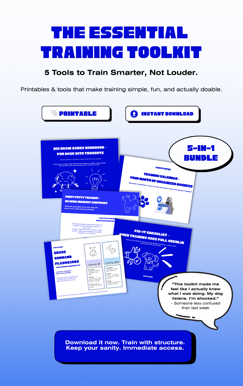 The Essential Training Toolkit - Payhip