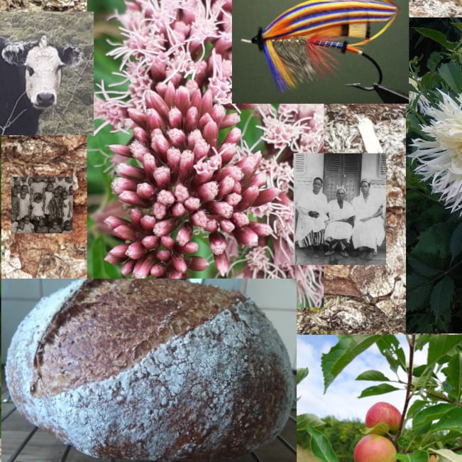 images of daily life