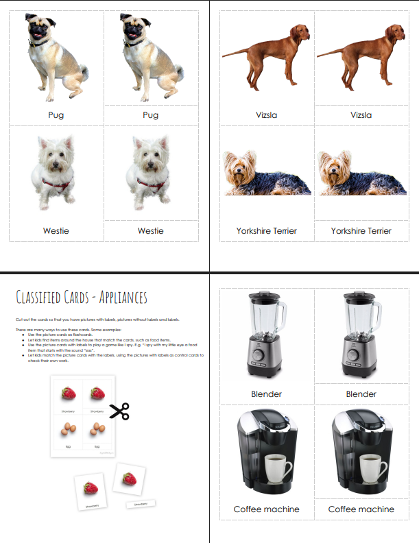 Montessori PDF Printable Learning Cards – Educational Materials for Toddlers & Preschoolers. Includes 100+ pages of nomenclature cards, ideal for early childhood education. Perfect for homeschooling, classroom use, or Montessori-inspired parenting. Instan