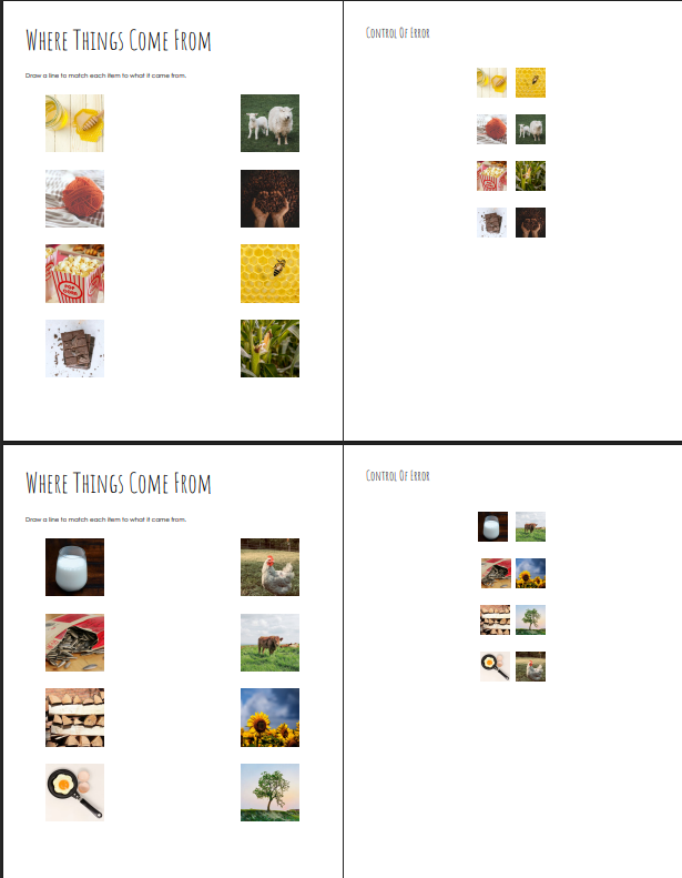 Montessori PDF Printable Learning Cards – Educational Materials for Toddlers & Preschoolers. Includes 100+ pages of nomenclature cards, ideal for early childhood education. Perfect for homeschooling, classroom use, or Montessori-inspired parenting. Instan