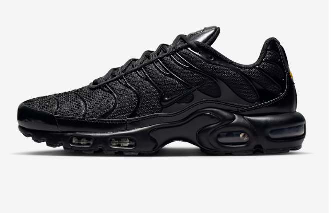 Air Max Plus TN - Payhip
