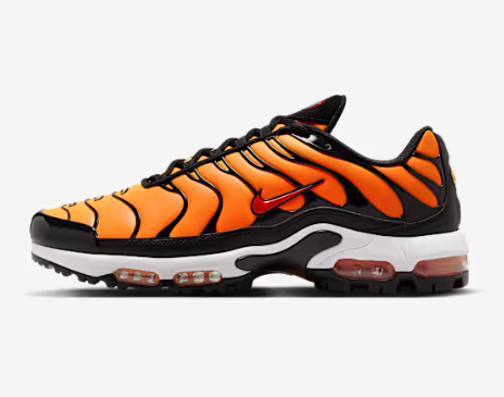 Air Max Plus TN - Payhip