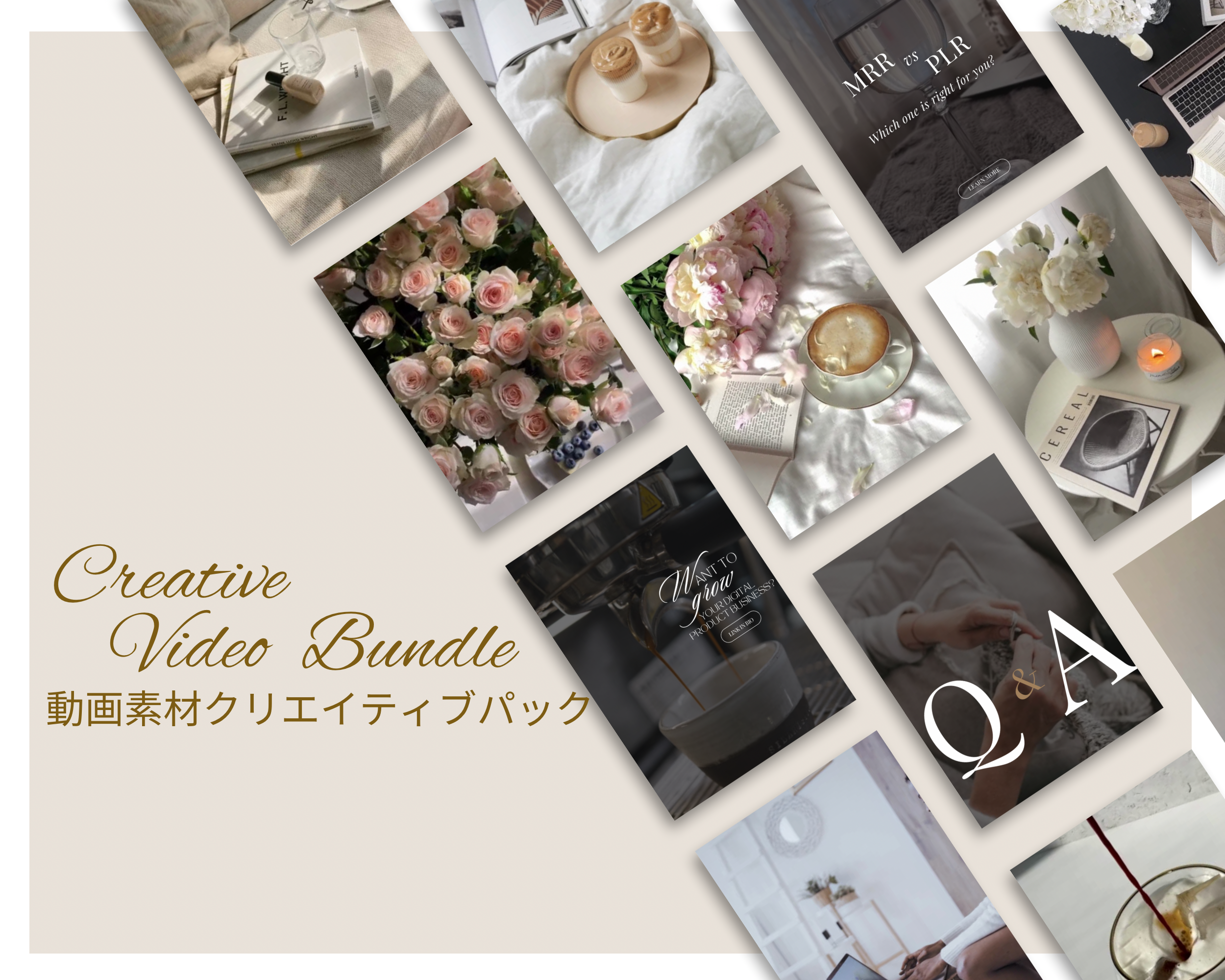 Creative Video Bundle - Payhip