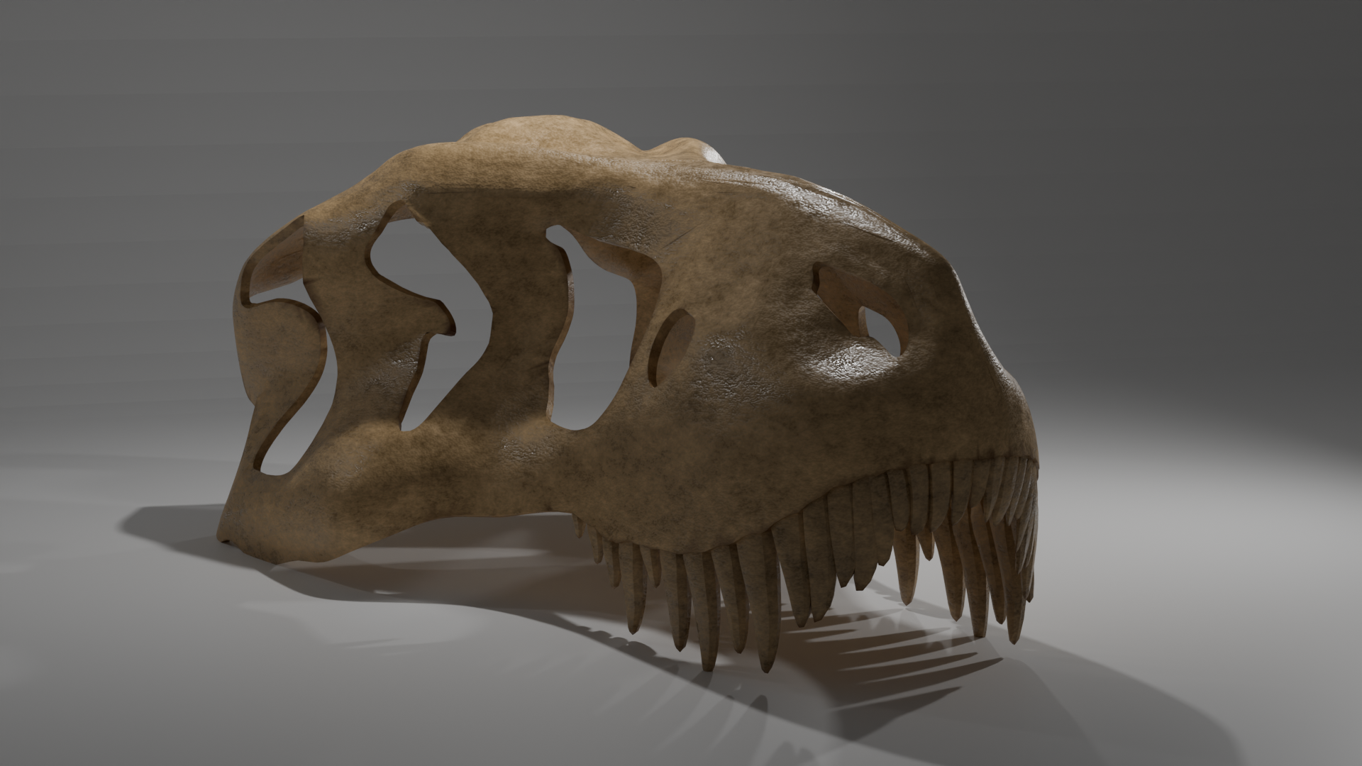 T-Rex Skull - Payhip