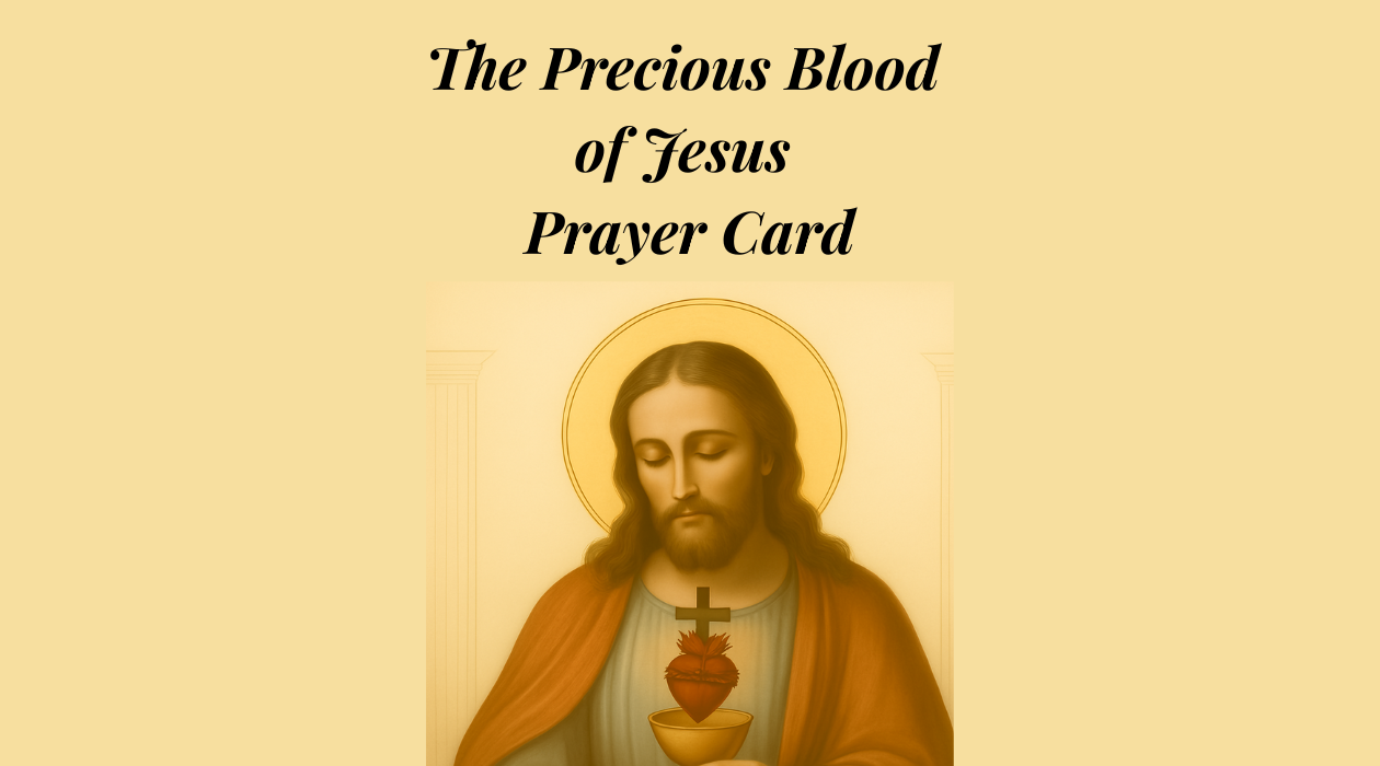 The Precious Blood  of Jesus  Prayer Card - Full of Grace Catholic Store digital products